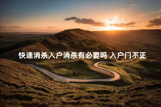 快速消杀入户消杀有必要吗 入户门不正有什么影响